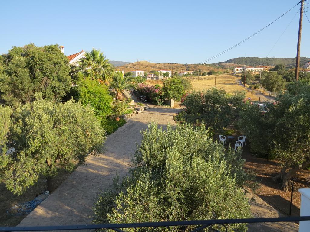 Molivos View Studios Mithimna Bagian luar foto